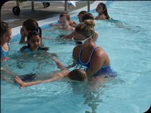 SD530973 (Copy) (Copy)